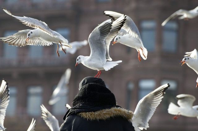 morning picdump 54 pics 48.html - 54 HD Photos | Premium Gallery 2012