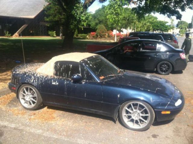 morning picdump 54 pics 48.html - 54 HD Photos | Premium Gallery 2012