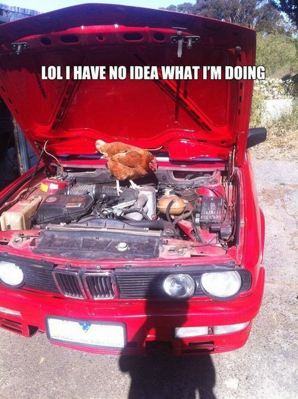 morning picdump 54 pics 48.html - 54 HD Photos | Premium Gallery 2012