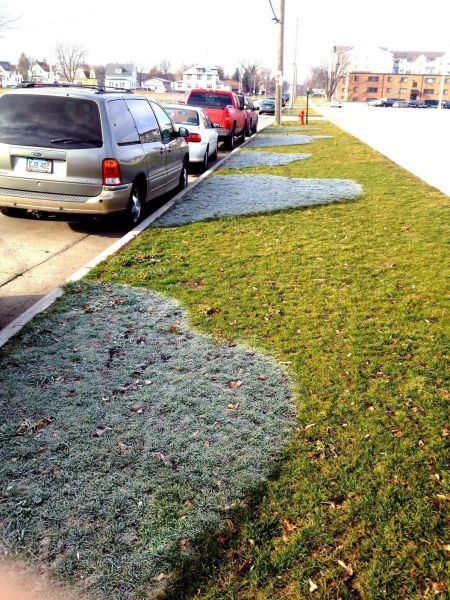 morning picdump 52 pics 13.html - 52 HD Photos | Premium Gallery 2012