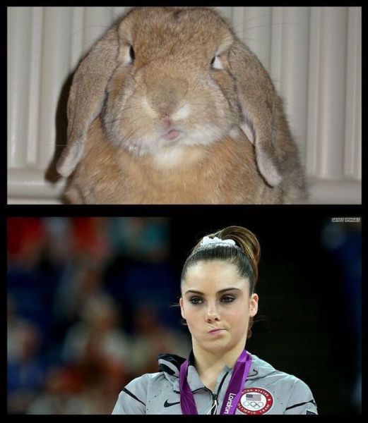 morning picdump 52 pics 13.html - 52 HD Photos | Premium Gallery 2012