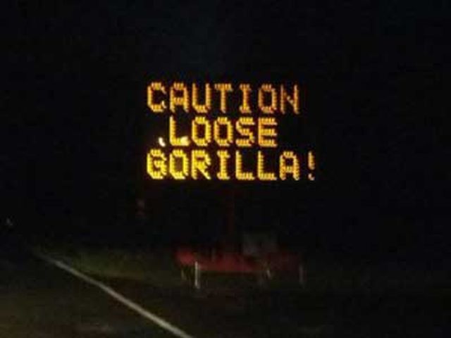 morning picdump 52 pics 13.html - 52 HD Photos | Premium Gallery 2012