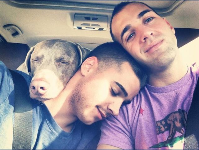 morning picdump 52 pics 13.html - 52 HD Photos | Premium Gallery 2012