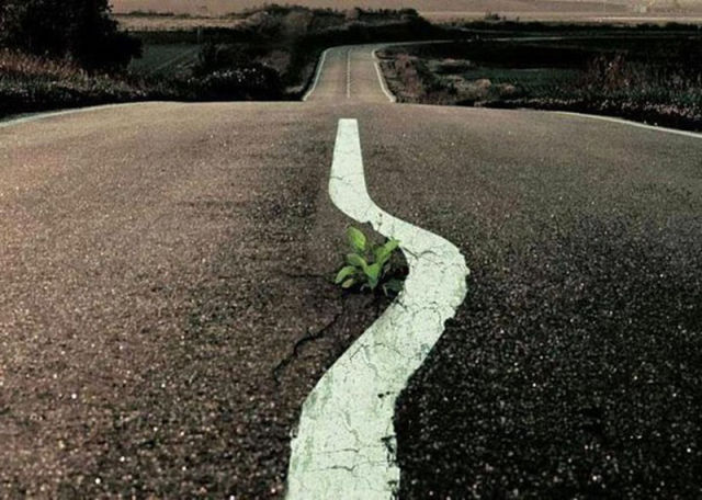 It’s More Than Just a Photo. Part 12