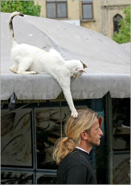 It’s More Than Just a Photo. Part 12