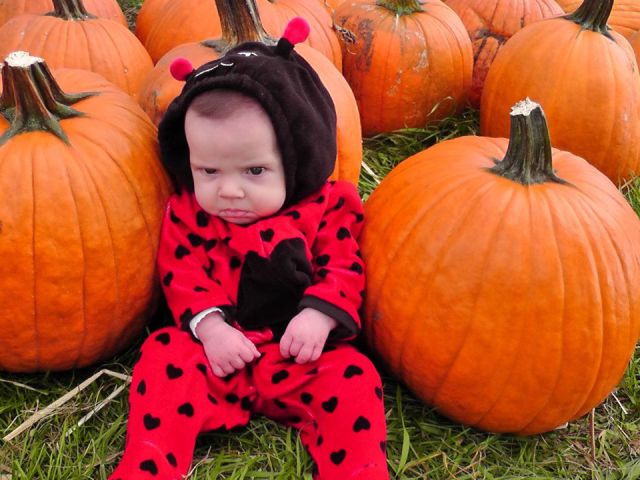 Daily Picdump [WEEKEND EDITION]