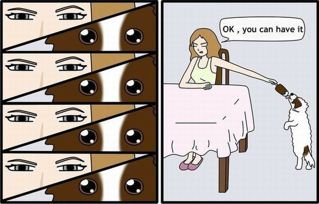 Daily Picdump [WEEKEND EDITION]