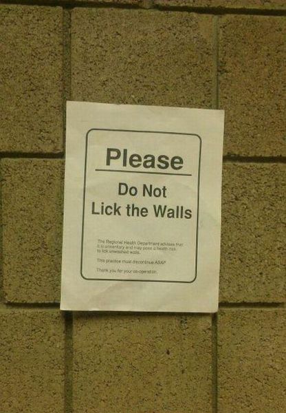 Daily Picdump [WEEKEND EDITION]