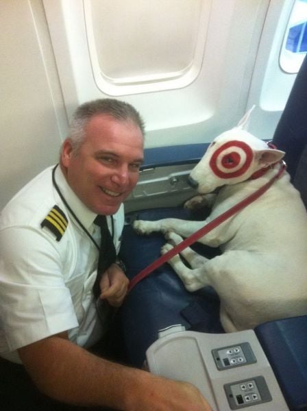 daily picdump weekend edition 98 pics 20.html - 98 HD Photos | Premium Gallery 2012