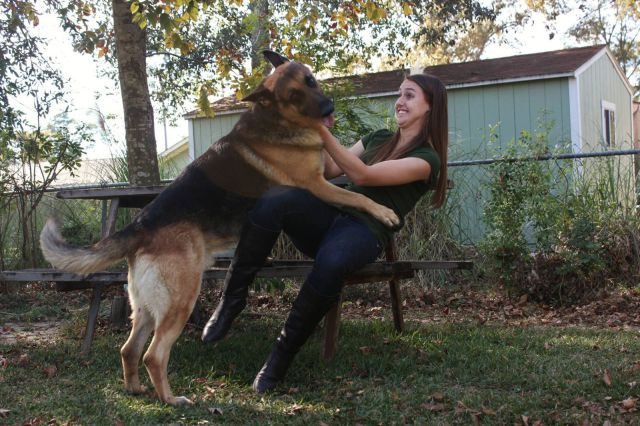 daily picdump weekend edition 98 pics 20.html - 98 HD Photos | Premium Gallery 2012