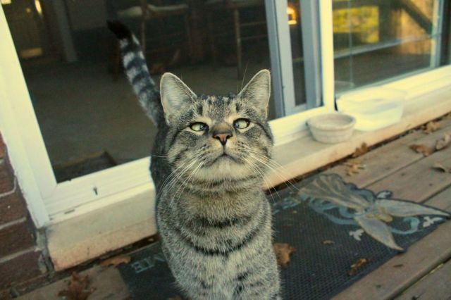 daily picdump weekend edition 98 pics 20.html - 98 HD Photos | Premium Gallery 2012