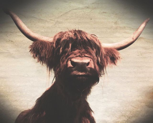 daily picdump weekend edition 98 pics 20.html - 98 HD Photos | Premium Gallery 2012