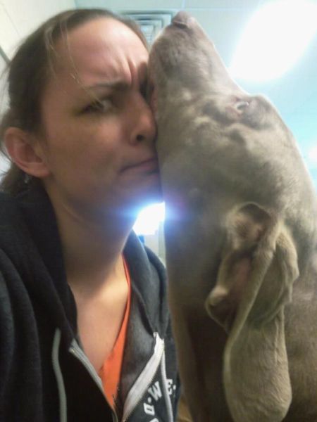 daily picdump 94 pics 14.html - 94 HD Photos | Premium Gallery 2012