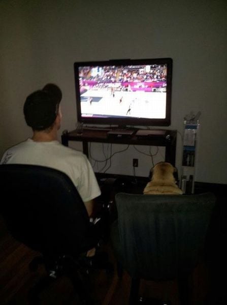 daily picdump 94 pics 14.html - 94 HD Photos | Premium Gallery 2012