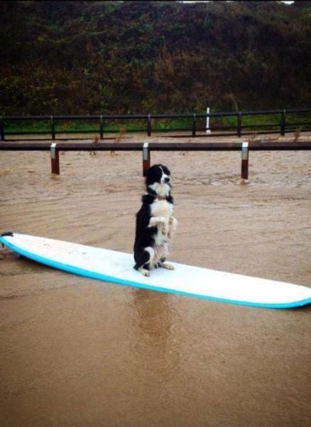 daily picdump 94 pics 14.html - 94 HD Photos | Premium Gallery 2012