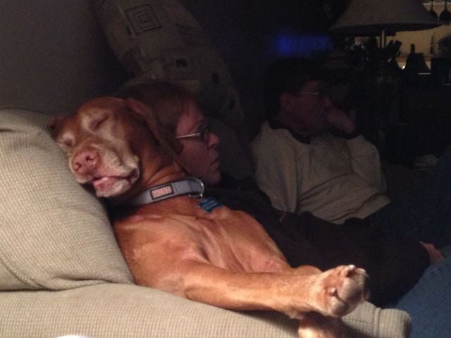 daily picdump 94 pics 14.html - 94 HD Photos | Premium Gallery 2012