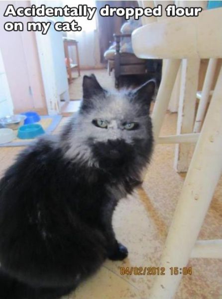 morning picdump 56 pics 10.html - 56 HD Photos | Premium Gallery 2012