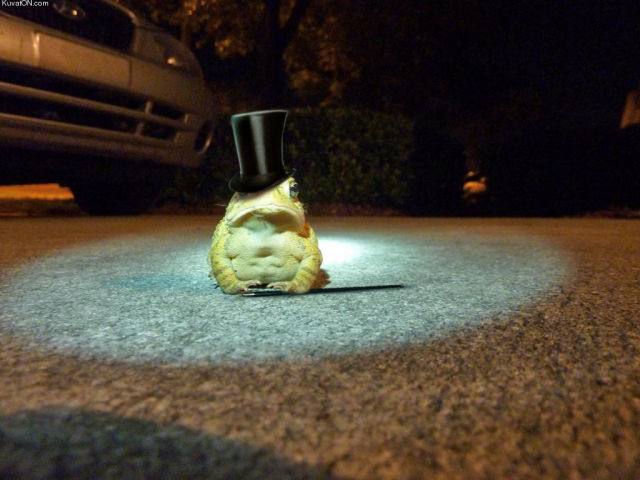 morning picdump 56 pics 10.html - 56 HD Photos | Premium Gallery 2012