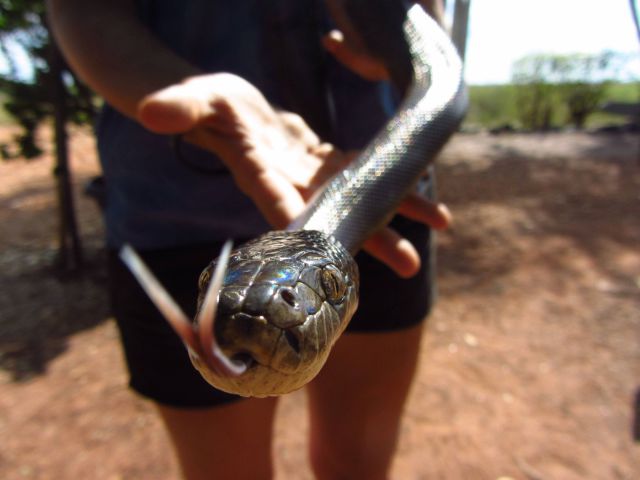 morning picdump 56 pics 10.html - 56 HD Photos | Premium Gallery 2012