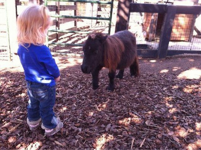 morning picdump 55 pics 55.html - 55 HD Photos | Premium Gallery 2012