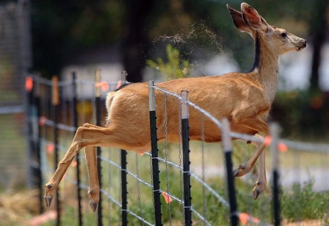 morning picdump 55 pics 55.html - 55 HD Photos | Premium Gallery 2012