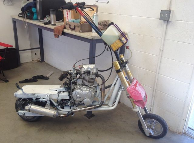 morning picdump 55 pics 55.html - 55 HD Photos | Premium Gallery 2012