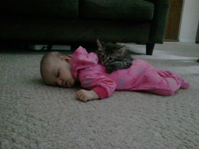 morning picdump 55 pics 55.html - 55 HD Photos | Premium Gallery 2012