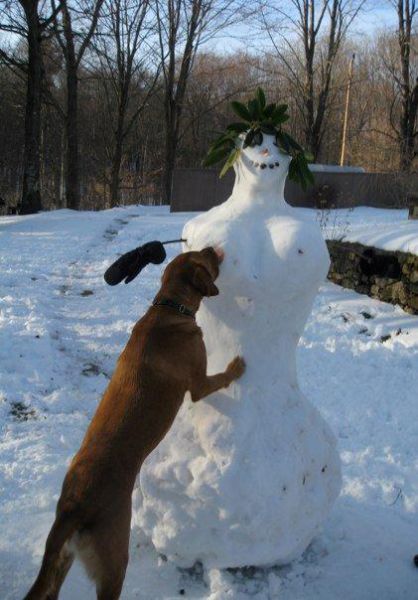 morning picdump 55 pics 55.html - 55 HD Photos | Premium Gallery 2012