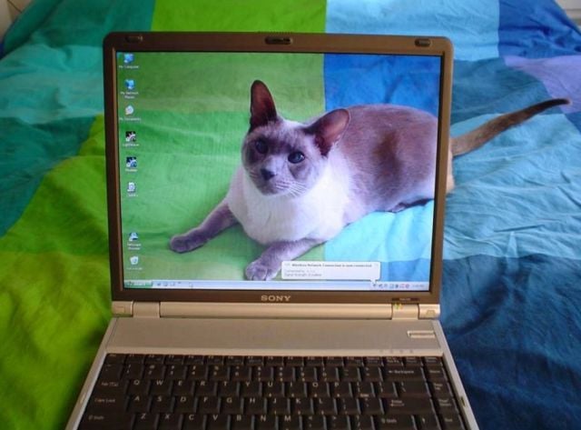 morning picdump 55 pics 55.html - 55 HD Photos | Premium Gallery 2012