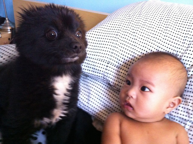 morning picdump 54 pics 26.html - 54 HD Photos | Premium Gallery 2012