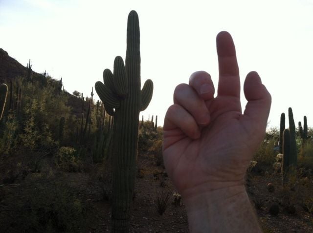 daily picdump 98 pics 29.html - 98 HD Photos | Premium Gallery 2012