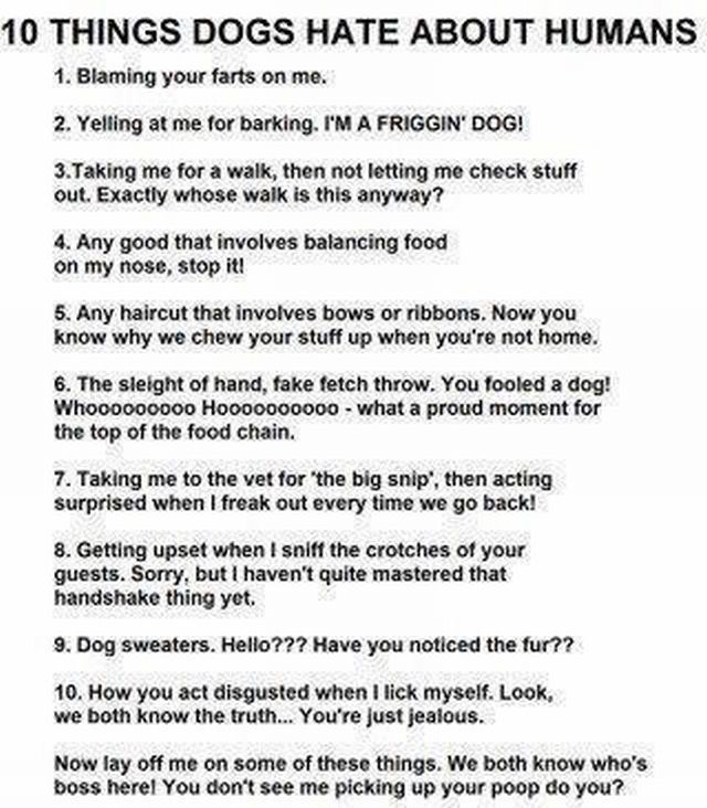 morning picdump 52 pics 42.html - 52 HD Photos | Premium Gallery 2012