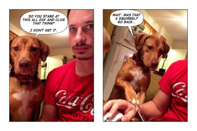 daily picdump weekend edition 93 pics 44.html - 93 HD Photos | Premium Gallery 2012