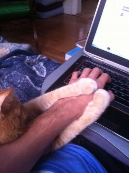 daily picdump weekend edition 93 pics 44.html - 93 HD Photos | Premium Gallery 2012