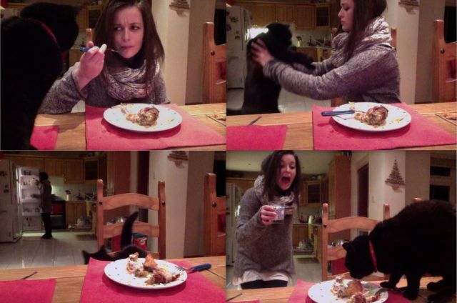 daily picdump weekend edition 93 pics 44.html - 93 HD Photos | Premium Gallery 2012