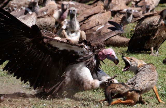 daily picdump 110 pics 34.html - 110 HD Photos | Premium Gallery 2012