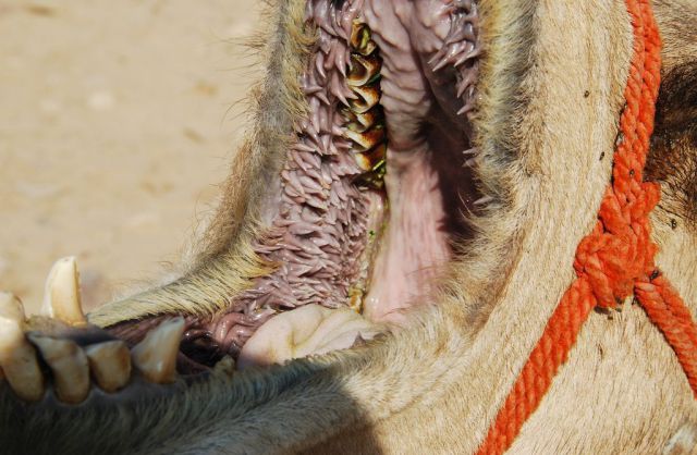 daily picdump 110 pics 34.html - 110 HD Photos | Premium Gallery 2012