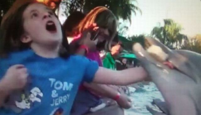 daily picdump 110 pics 34.html - 110 HD Photos | Premium Gallery 2012