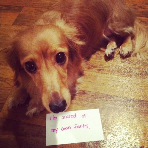 daily picdump 110 pics 34.html - 110 HD Photos | Premium Gallery 2012