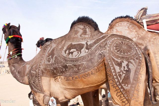 morning picdump 54 pics 19.html - 54 HD Photos | Premium Gallery 2012