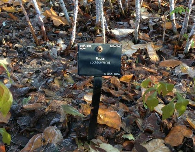 morning picdump 54 pics 19.html - 54 HD Photos | Premium Gallery 2012