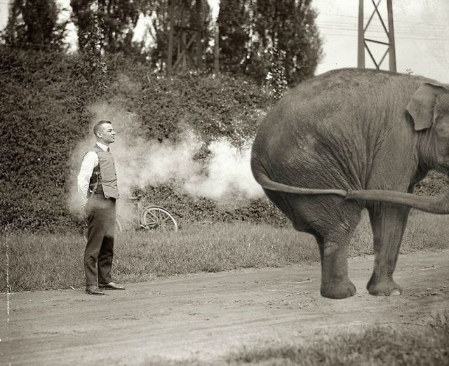 morning picdump 54 pics 19.html - 54 HD Photos | Premium Gallery 2012