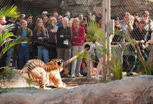 morning picdump 54 pics 19.html - 54 HD Photos | Premium Gallery 2012