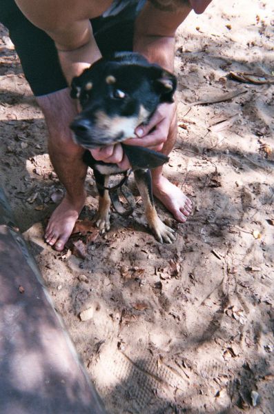 This Is What Happens When You Let Anyone Take Photos