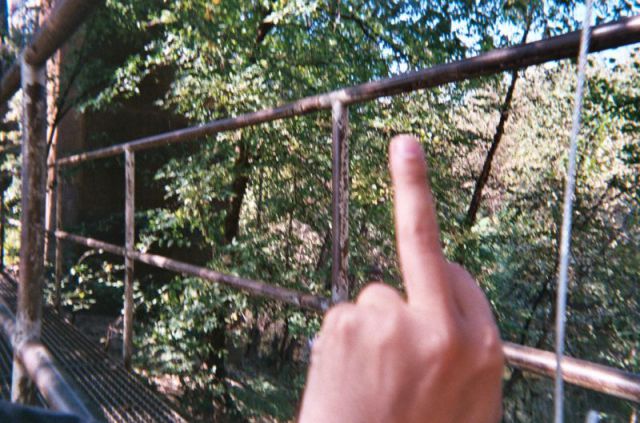 This Is What Happens When You Let Anyone Take Photos