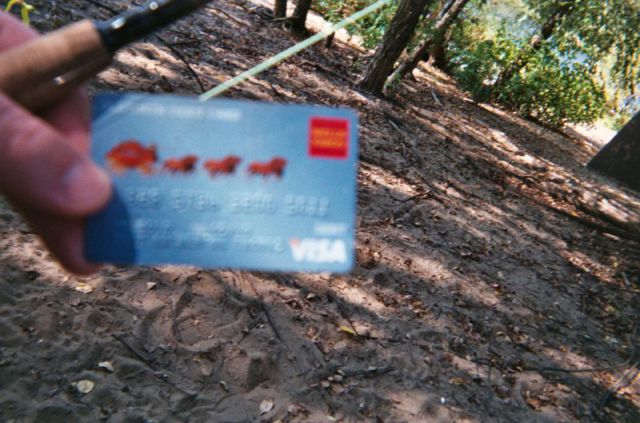 This Is What Happens When You Let Anyone Take Photos