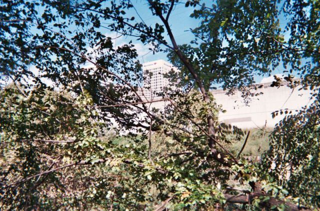 This Is What Happens When You Let Anyone Take Photos