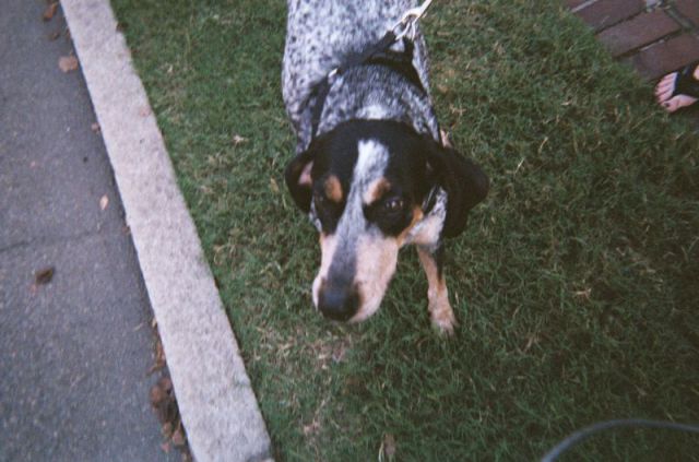 This Is What Happens When You Let Anyone Take Photos