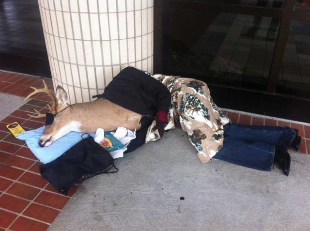 morning picdump 53 pics 42.html - 53 HD Photos | Premium Gallery 2012