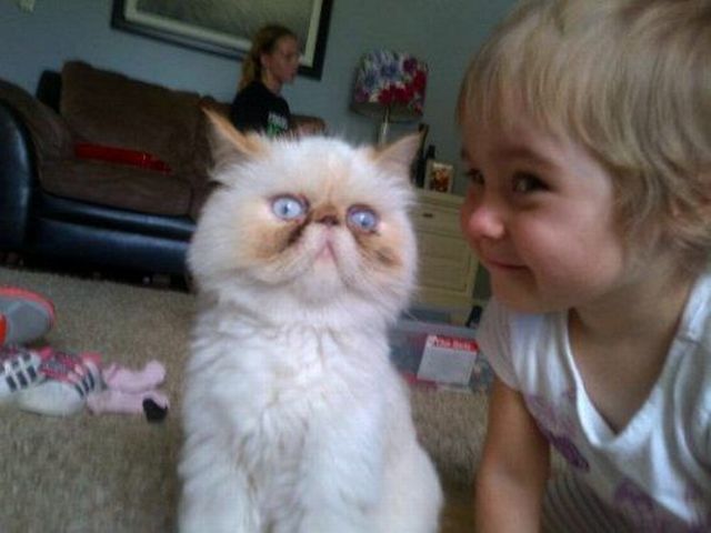 morning picdump 53 pics 42.html - 53 HD Photos | Premium Gallery 2012